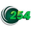 254Spin cover image