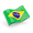Brazil Flag