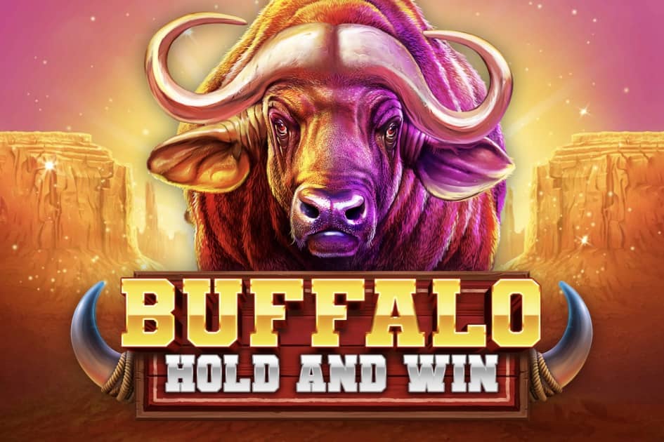 Buffalo Hold and Win Afrika Bet