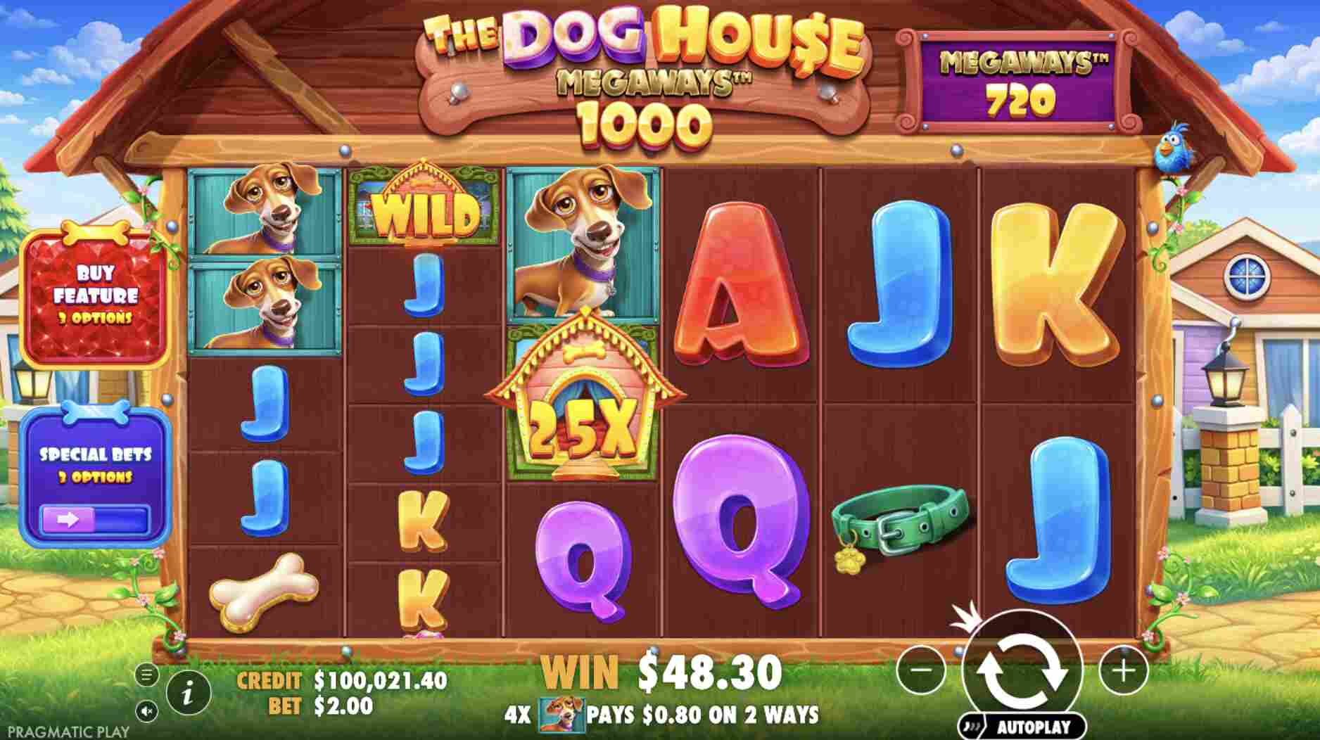 The Dog House Megaways Features Slot Review